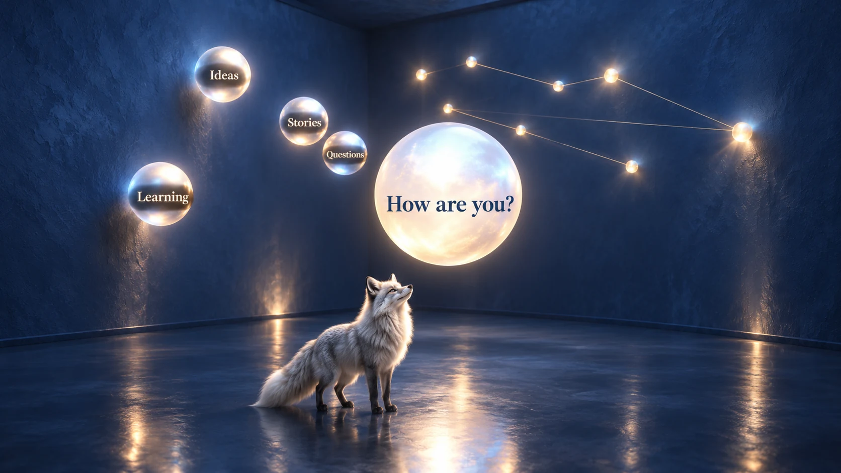 A silver fox beneath a constellation of questions.